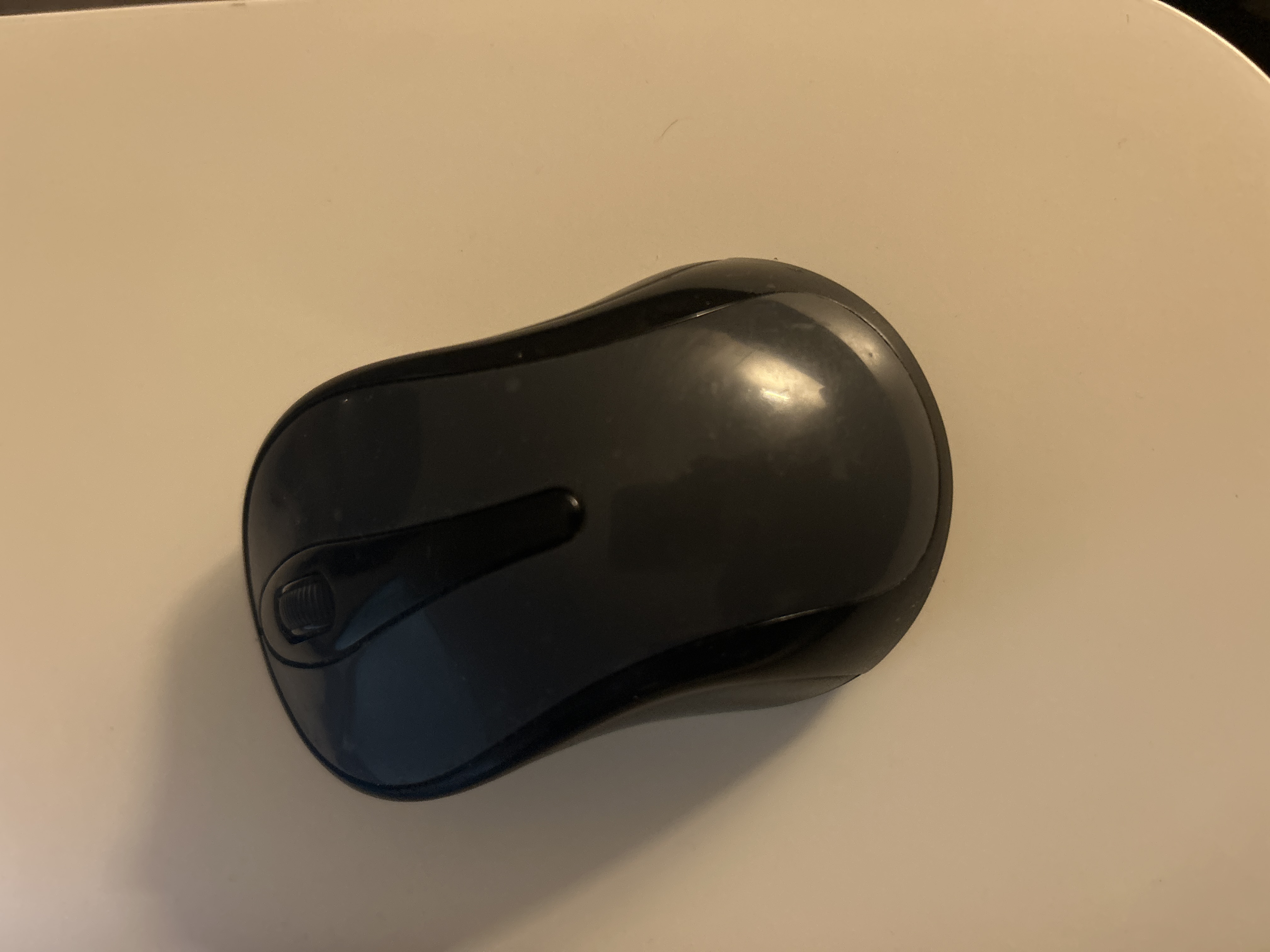 Maus
